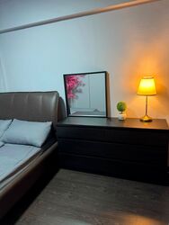 Blk 295C Compassvale Lodge (Sengkang), HDB 4 Rooms #594058271